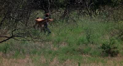 Zero in the world. - The Texas Chain Saw Massacre