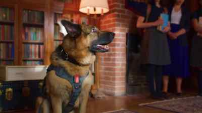 [Zeus barks loudly] - Jazz Ramsey: A K-9 Mystery