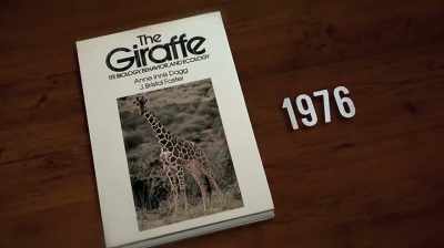 Zoe: I first became interested - The Woman Who Loves Giraffes