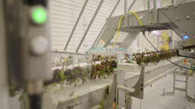 [Zooey] Plenty's vertical farm
uses 95% less water - What Am I Eating? With Zooey Deschanel