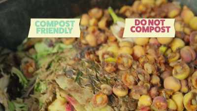 [Zooey] So this is all just
like green scraps, - What Am I Eating? With Zooey Deschanel