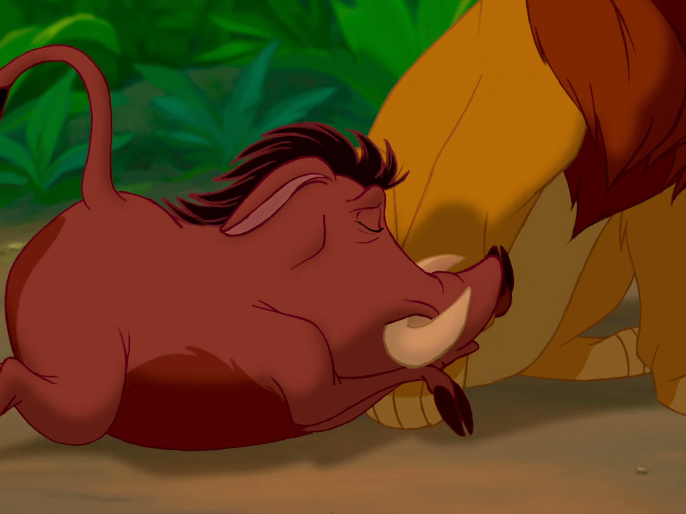 no-i-m-not-the-king-maybe-i-was-gonna-be-but-that-was-a-long-time
