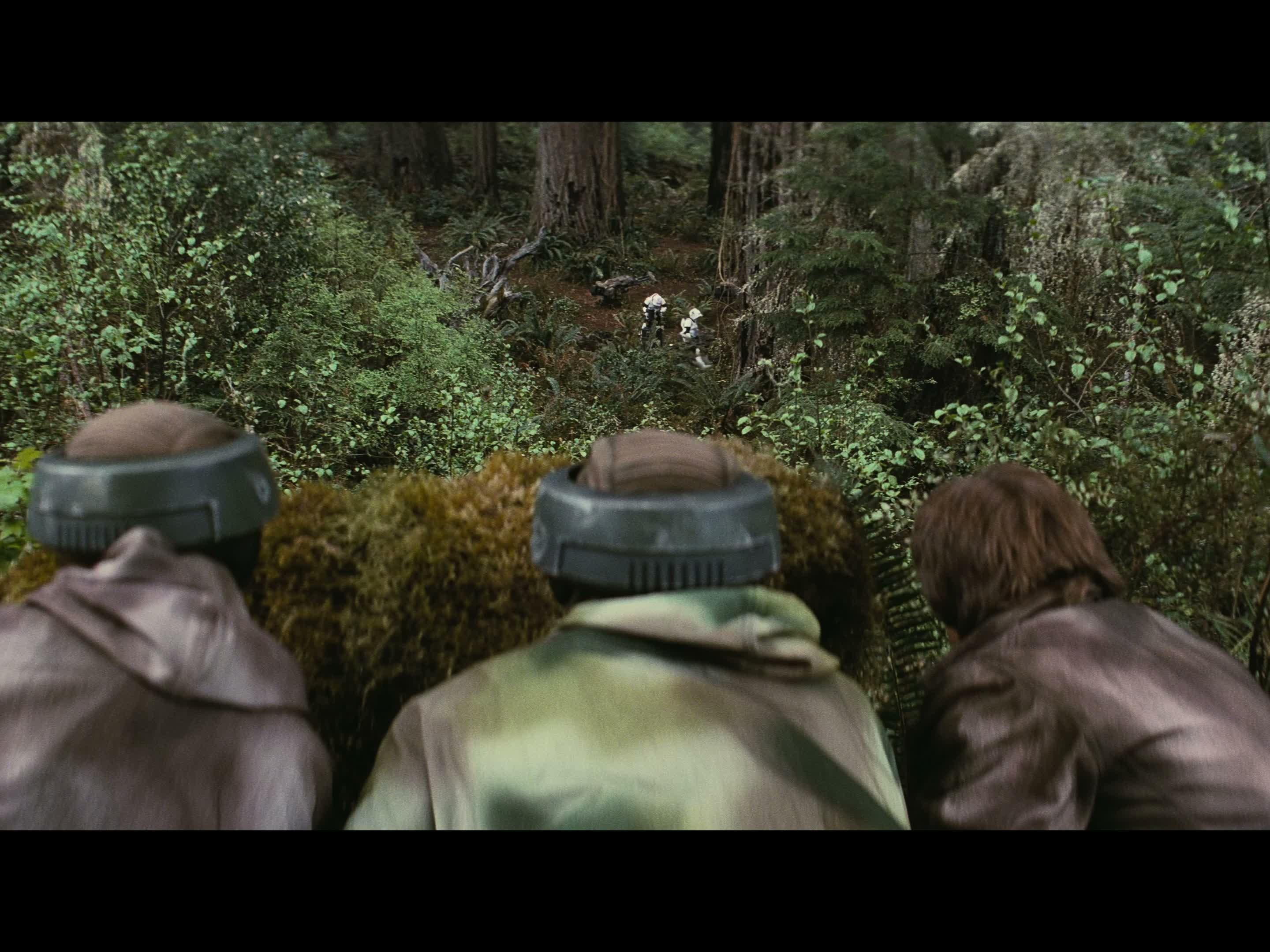 Should we try and go around? It'll take time. This whole party will be ...