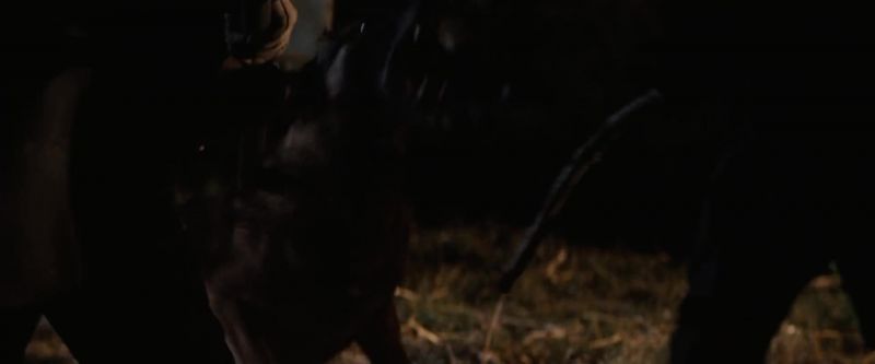 1: Get him in there! 2: Get in there, you mutt!