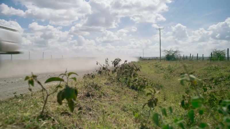13 million seed balls have been distributed in Kenya alone