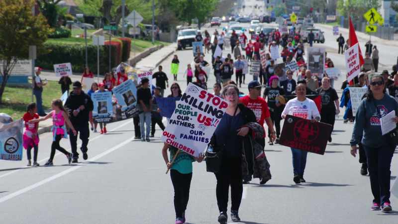 13 people killed by law enforcement in a single year