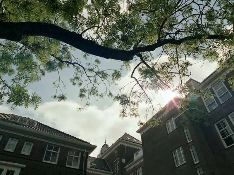 156 suicides were recorded in 1940 in Amsterdam