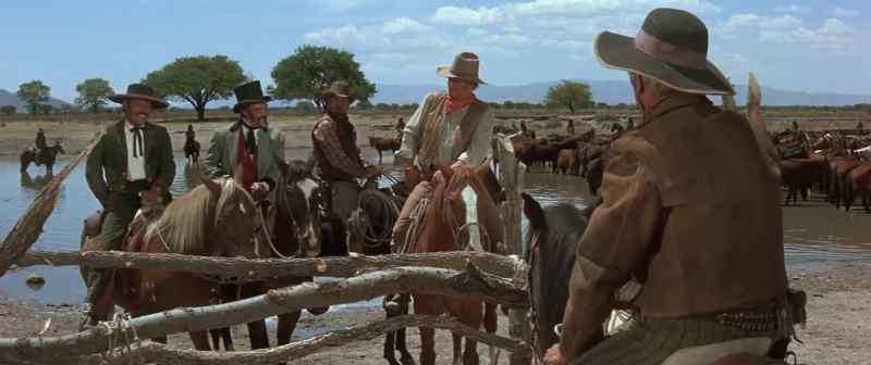 2,505 horses. I am surprised, Mr. Thomas