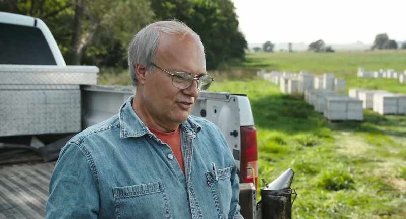 20 years from now, cover crops