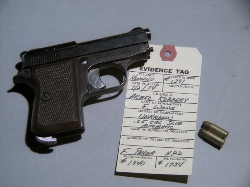25 CALIBER SLUG