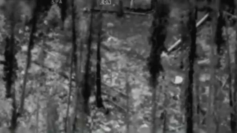 30 meters through the trees and through the underbrush