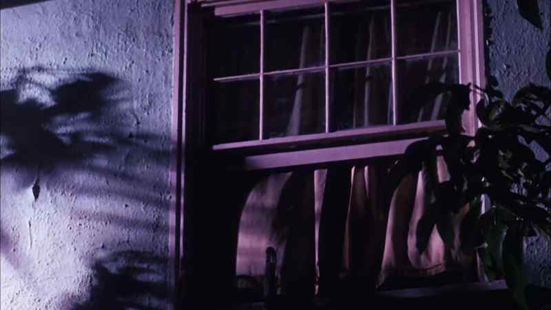 432 Elm Street