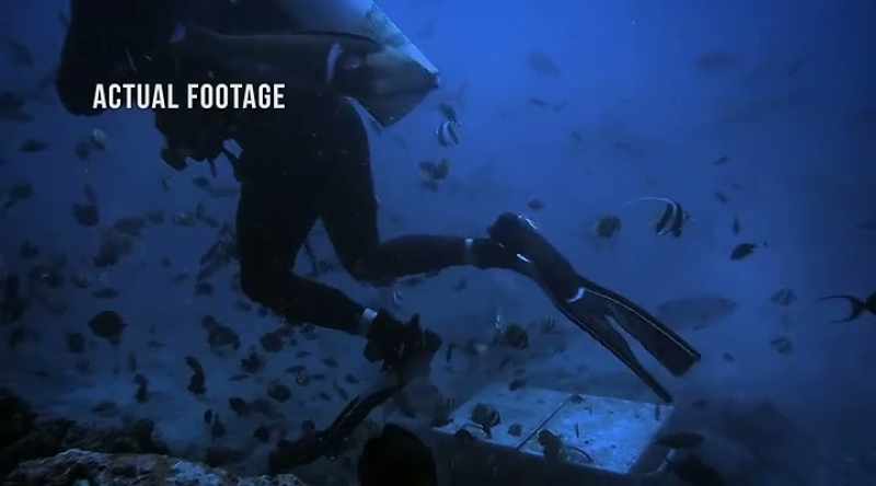65 feet below, a dive guide baits the sharks