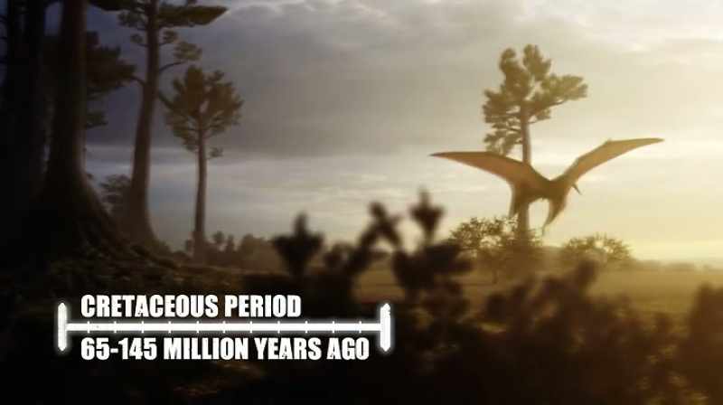 66 MILLION YEARS AGO