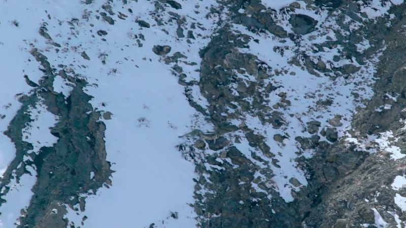 A 200 foot fall, never letting go