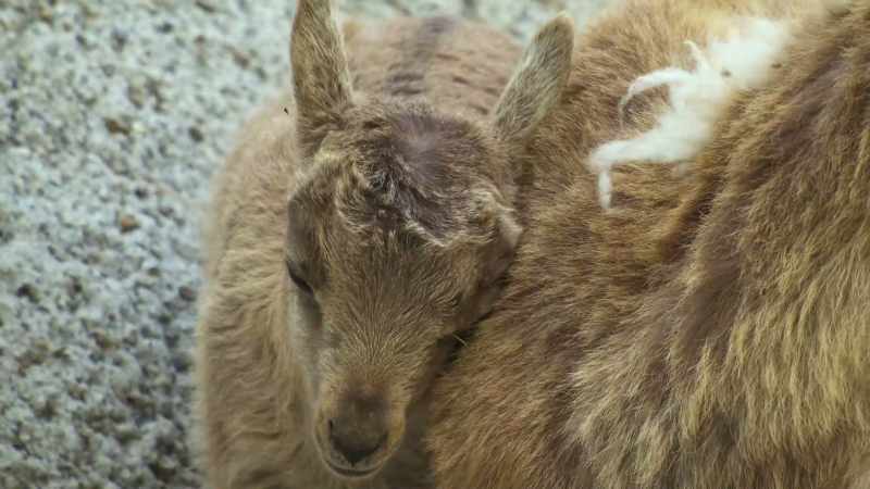 A 5-minute power nap