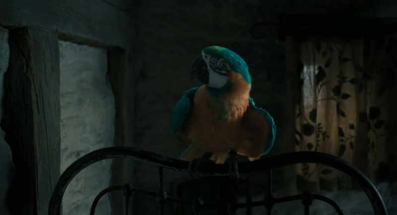A-Am I talking to an animal, just like Dolittle?