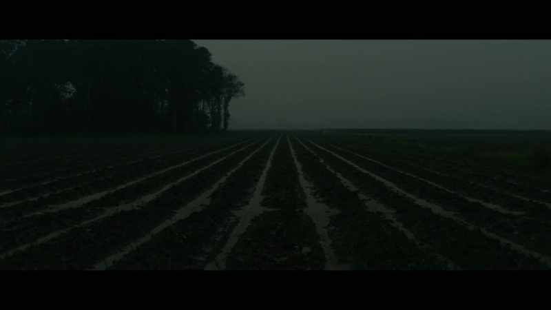 A big, hard rain that packed the fields tight as wax