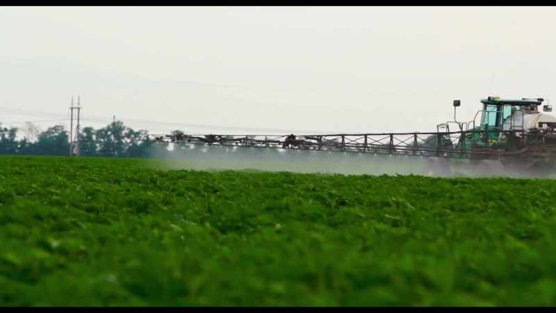 A big reason these chemicals make us sick