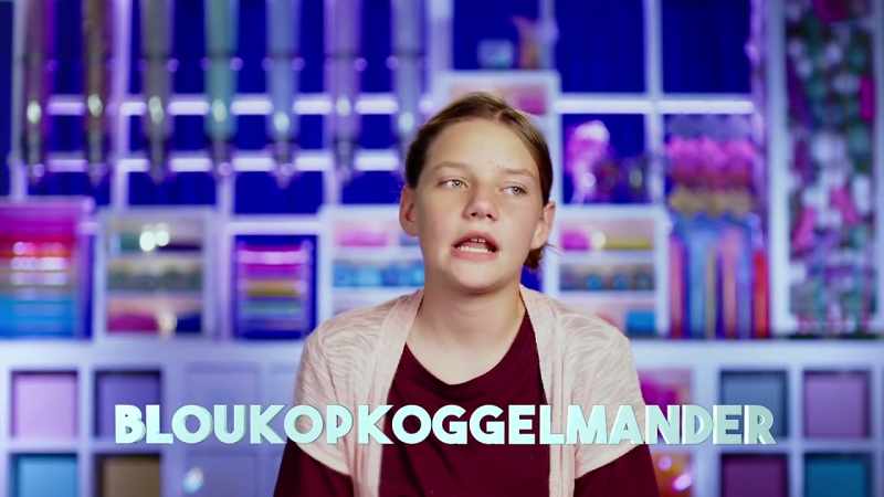 A bloukopkoggelmander