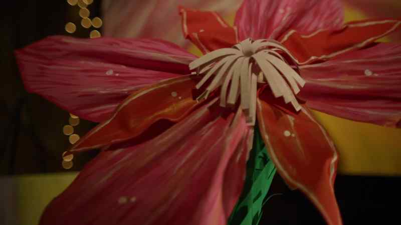 A brilliant flower