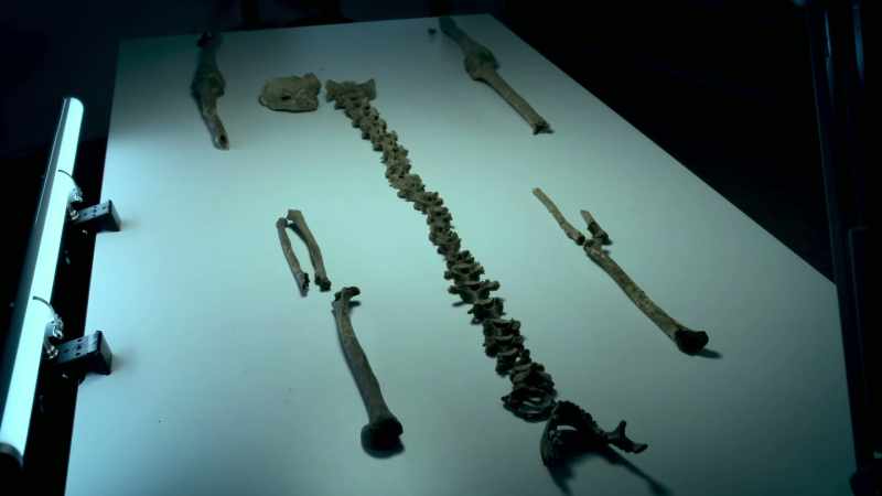 A burial unearthed over a century ago