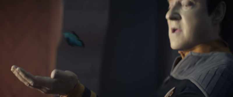 A butterfly that lives forever