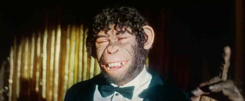 �� A buzzard took a monkey for a ride in the air ♪