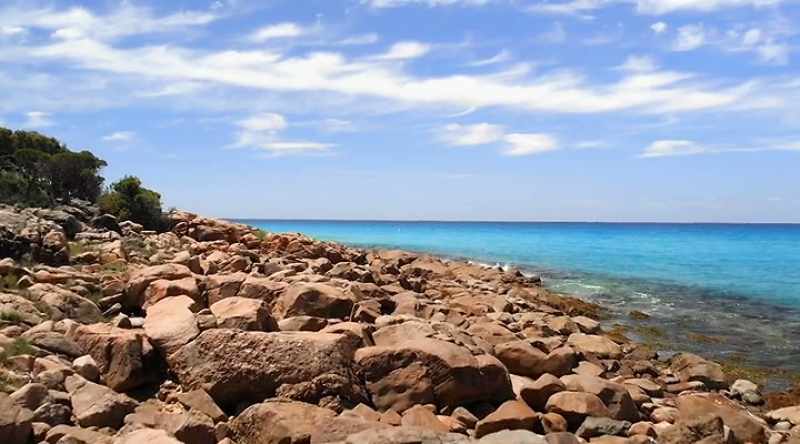 A case in Australia may provide vital clues