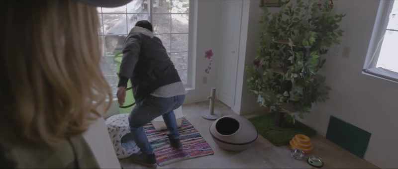 A cat room! With everything that you need as a cat!