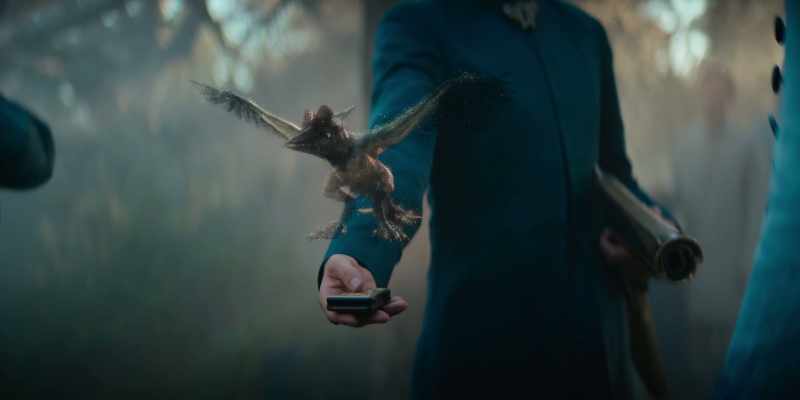 A challenge on your first time out. -[squawks]