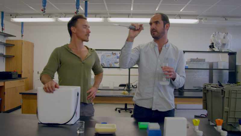 A clear, um, liquid, let's say, with the DNA