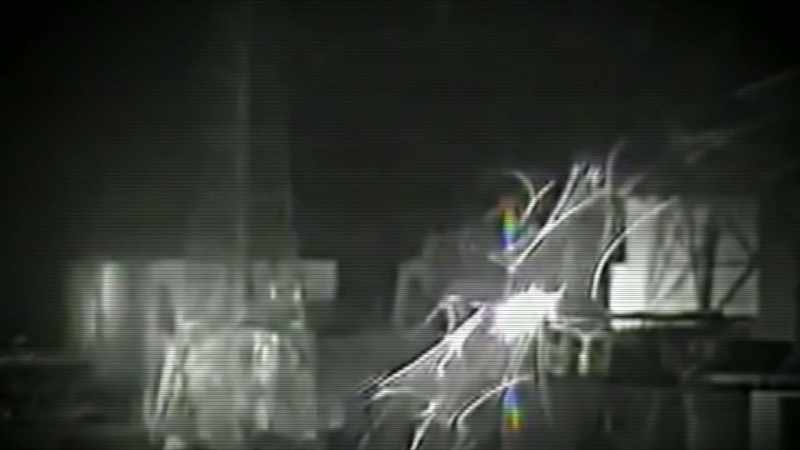 A CLOSE ENCOUNTER WITH A BEAST FROM BEYOND THE GRAVE