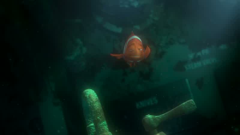 A clown fish?