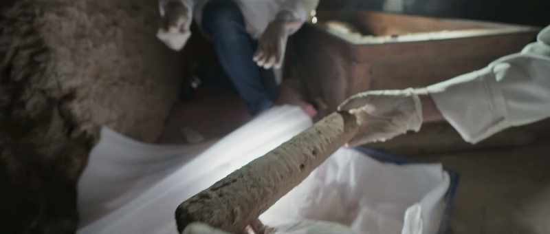 A complete papyrus is more valuable than gold