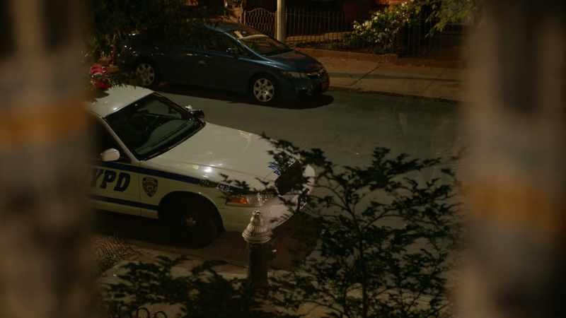 A cop car? Oh, wow