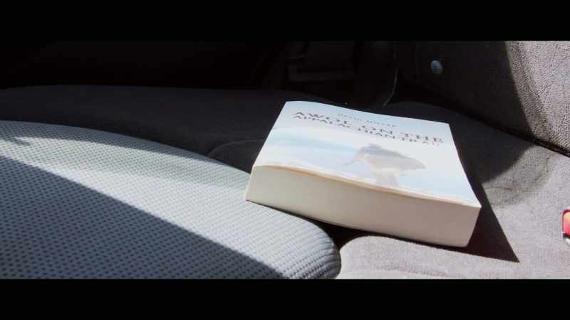 A couple months later, I was reading this book