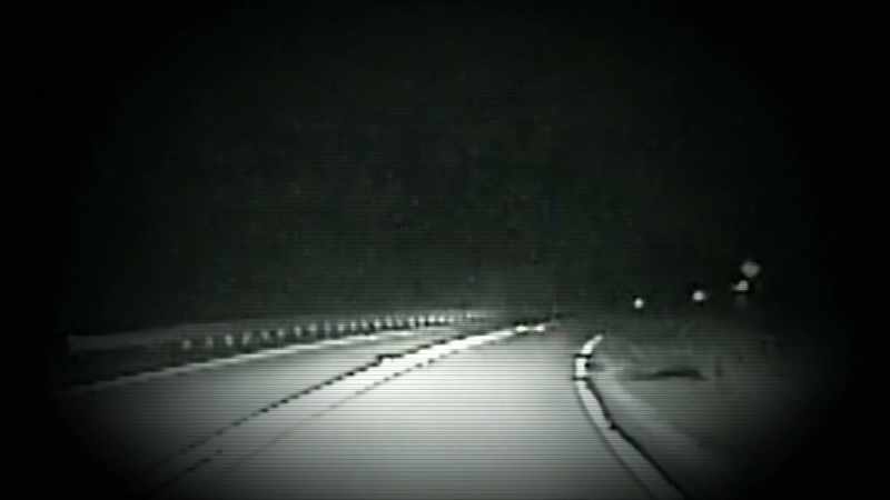 A CREATURE DARTS ACROSS THE ROAD
