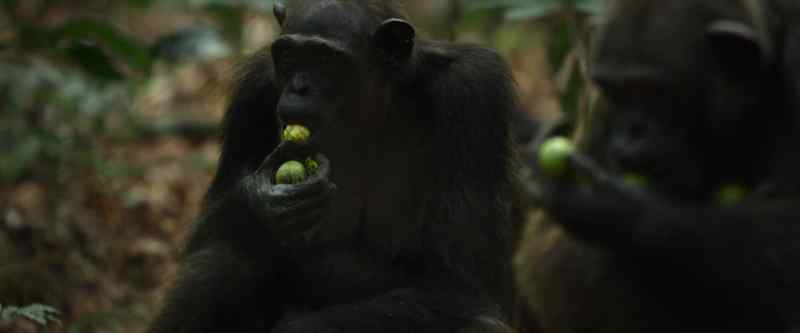 A critical meal… when you're eating for two