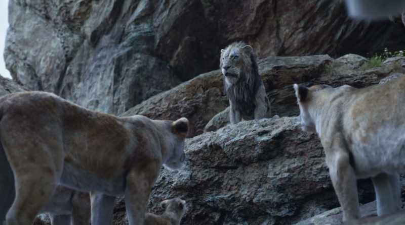 A cub whose blood held our future