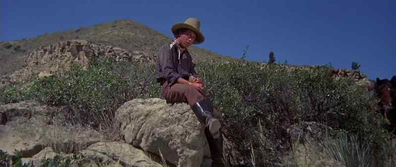 A Custer decision, impetuous?
