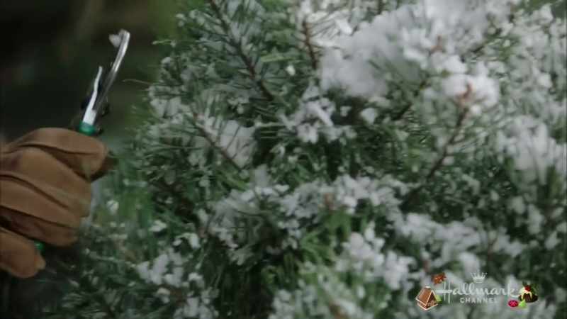 �� ...a day or two ago ♪