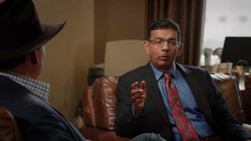 A Democrat would say