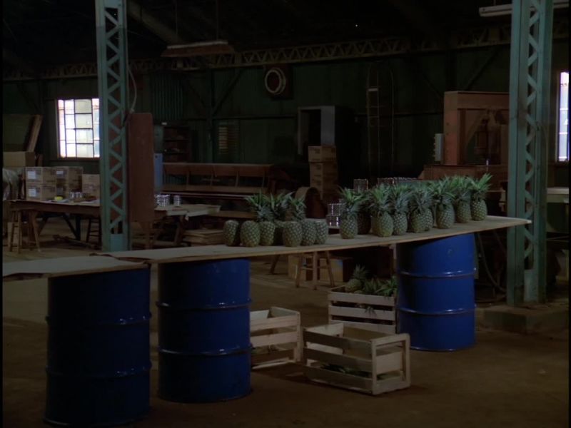 A DO-IT-YOURSELF CANNERY