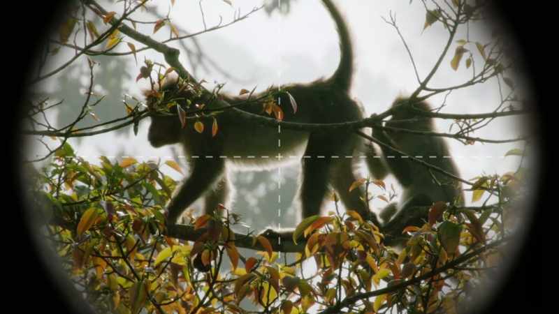 A dry, unforgiving climate