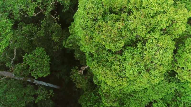 A fall from this height could be fatal