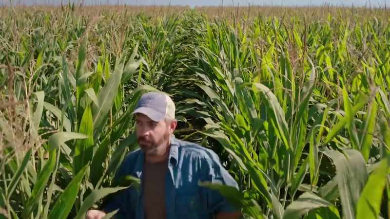 A farmer then plants this seed
