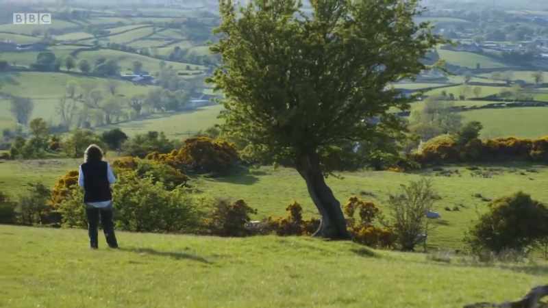 A few miles south in the rolling fields below the Mourne Mountains