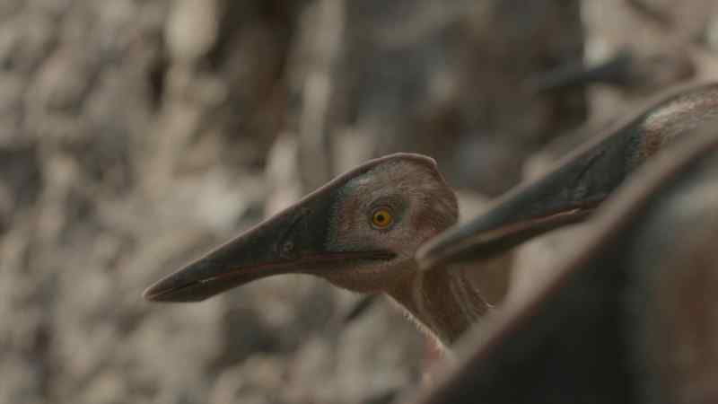 A few pterosaurs are almost within striking distance