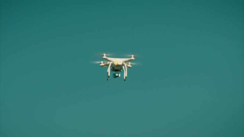 A FEW YEARS AGO, AN AERIAL SURVEY LIKE THIS